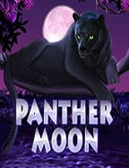 แชร์ประสบการณ์เล่นสล็อต โร ม่า pg สนุกยังไงมาดูกัน!